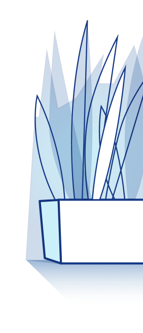 Plant illustration